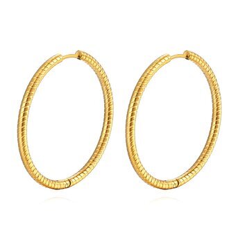 Gold hoop Earrings 18k Gold-plated steel.